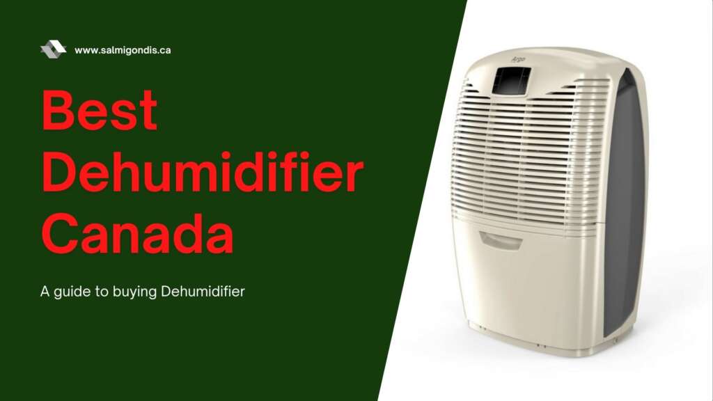 best dehumidifier canada