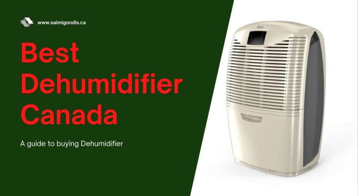 best dehumidifier canada