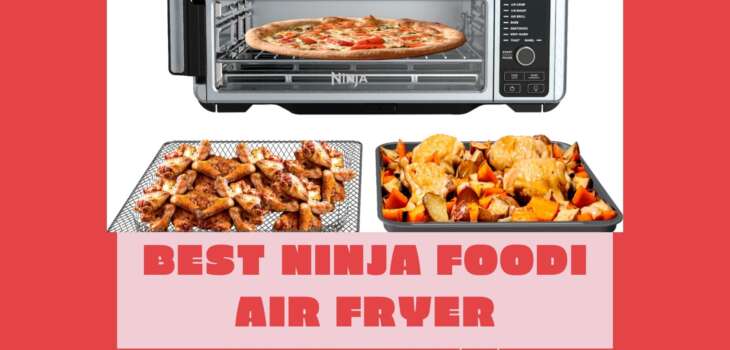 ninja foodi air fryer canada