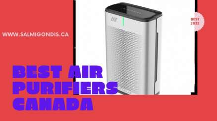 The Best Air Purifiers Canada Reviews, Tips, and Buying Guides