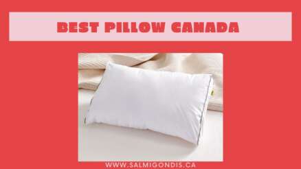 Top 10 The Best Pillow Canada Reviews in 2022 [Side Sleepers, Body, Neck Pain]