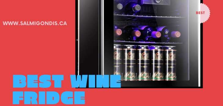 Top 10 The Best Wine Fridge Canada Reviews in 2022