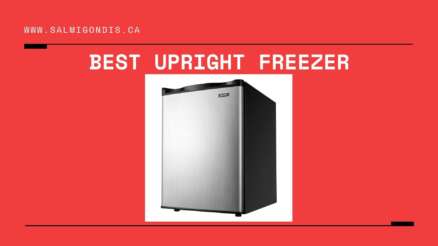 Top 10 The Best Upright Freezer in Canada Reviews in 2022