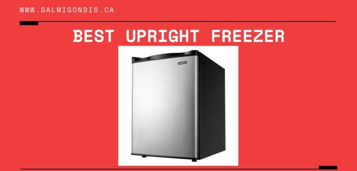 Best-Upright-Freezer