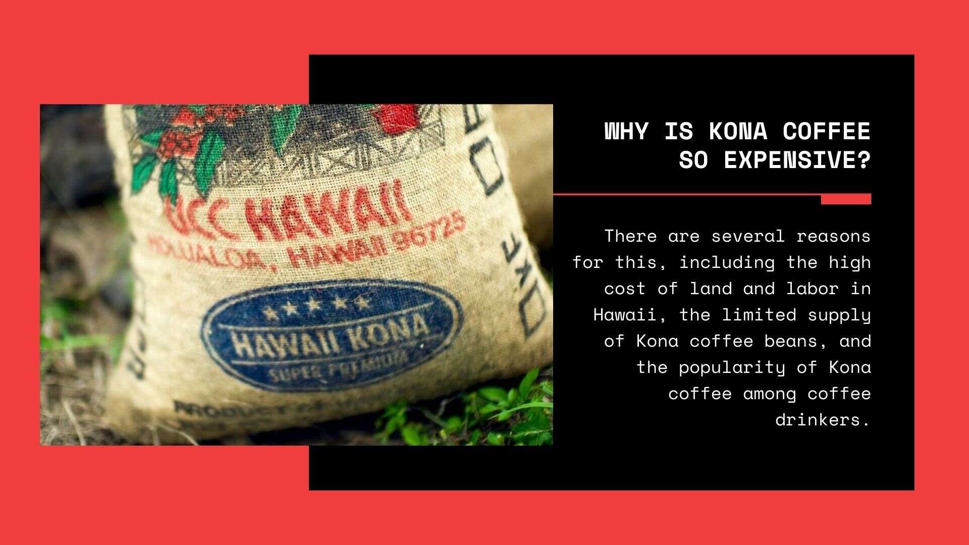 Why is Kona Coffee so Expensive? Salmigondis