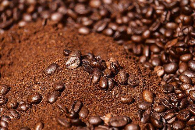 best coffee beans Canada