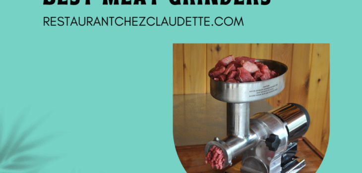 Best-Meat-Grinders-Canada-1024x768-1