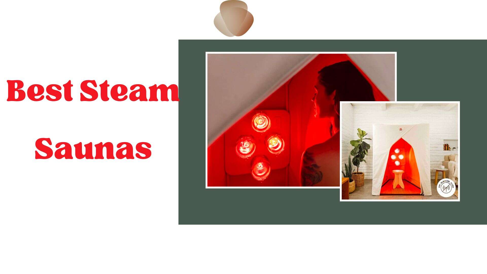 Top 7 Best Steam Saunas in Canada for 2023 Salmigondis