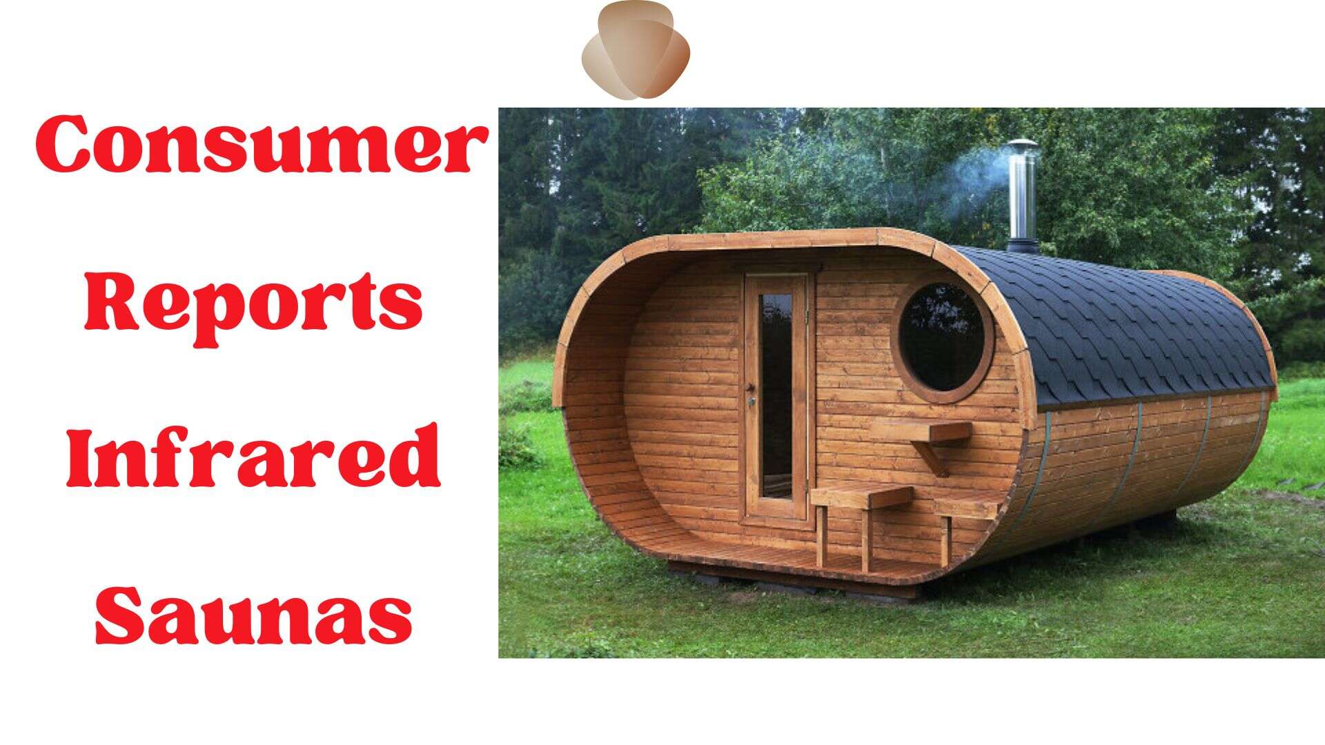 Top 10 Consumer Reports Infrared Saunas in Canada for 2023 Salmigondis