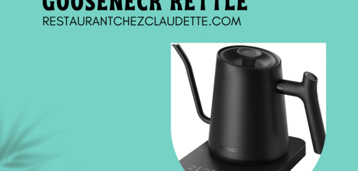 Electric-Gooseneck-Kettle-Canada-1024x768-1