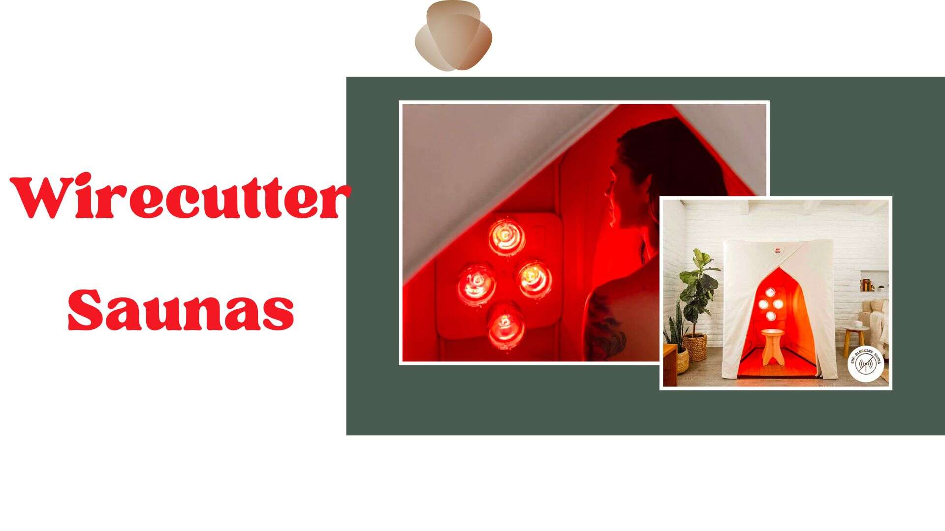 Top 4 The Wirecutter Saunas in Canada for 2024 Salmigondis