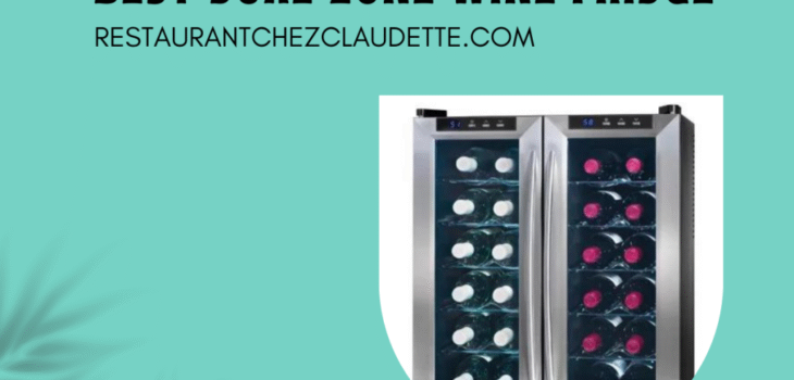 best-dual-zone-wine-fridge-canada-1024x768-1
