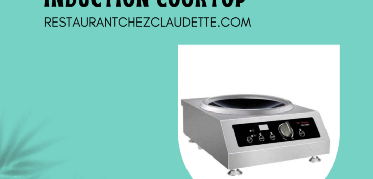 Commercial Induction Cooktop Canada