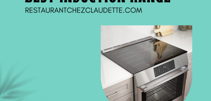 induction-range-canada-1024x768-1