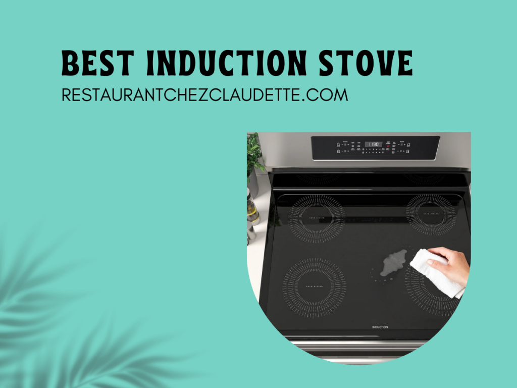 induction-stove-canada-1024x768-1