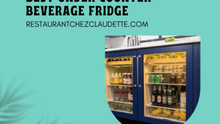 9 The Best Under Counter Beverage Fridge Canada You Can Buy in 2023