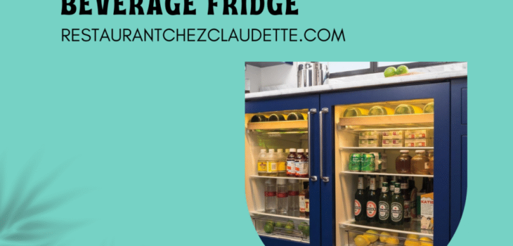 under-counter-beverage-fridge-canada-1024x768-1