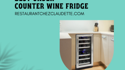 10 The Best Under Counter Wine Fridge Canada To Buy in 2023