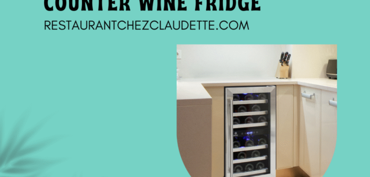 Under Counter Wine Fridge Canada
