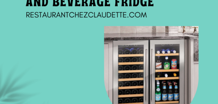 Best Wine and Beverage Fridge