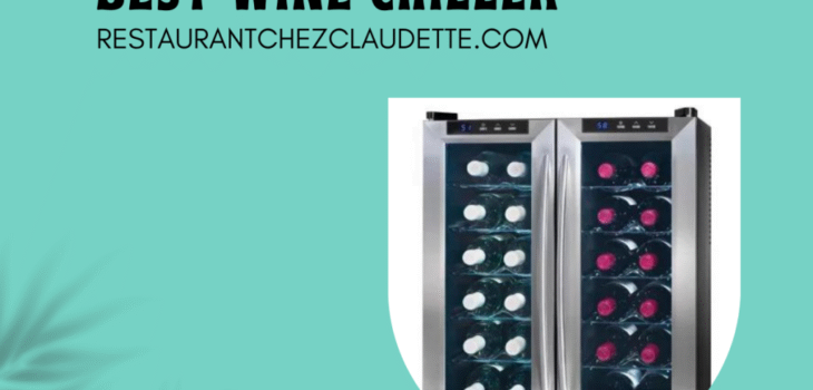 wine-chiller-canada-1024x768-1